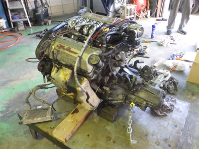 RIMG0240.JPG