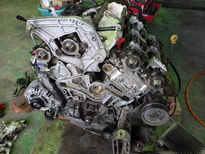 RIMG0338.JPG