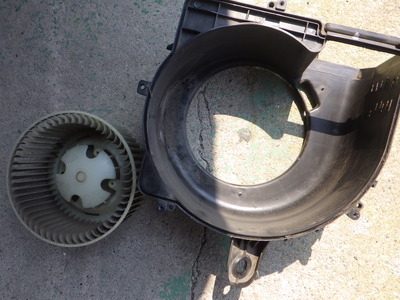 RIMG0738.JPG