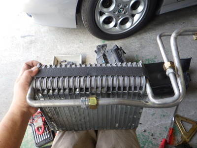 RIMG0753.JPG