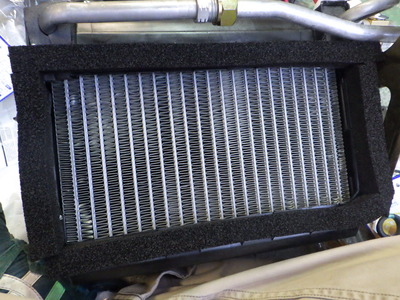 RIMG0784.JPG