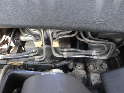 RIMG1060.JPG