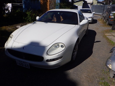 RIMG2139.JPG