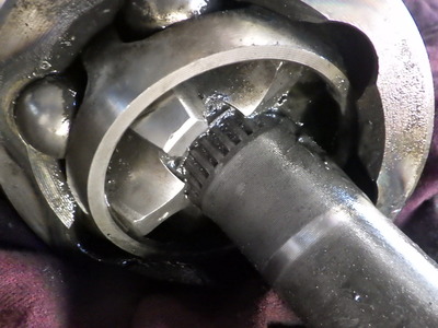 RIMG2900.JPG