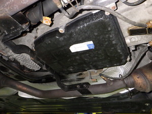 RIMG3834.JPG