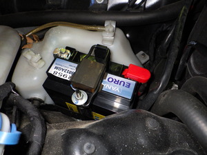 RIMG3879.JPG