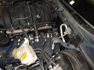 RIMG4601.JPG