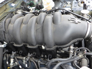 RIMG4841.JPG