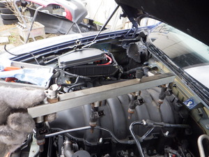 RIMG4845.JPG