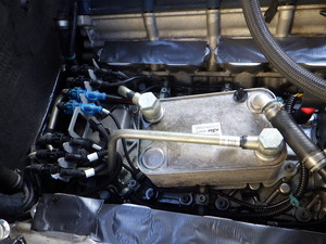 RIMG4857.JPG