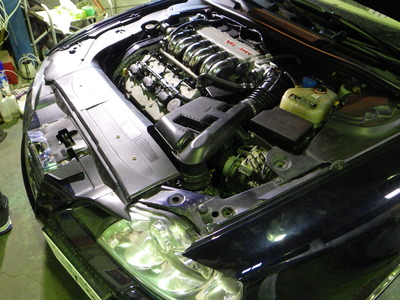 RIMG5096.JPG