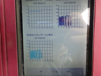 RIMG5207.JPG
