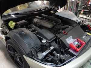 RIMG5229.JPG
