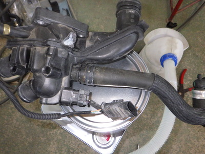 RIMG5480.JPG