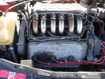RIMG5867.JPG