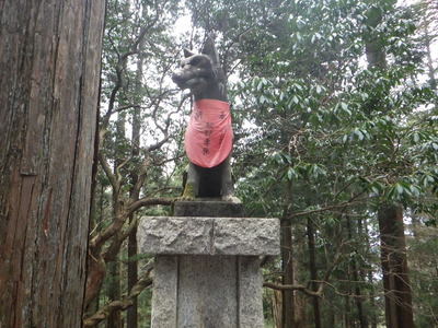 RIMG6269.JPG