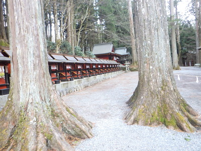 RIMG6300.JPG