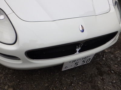 RIMG6539.JPG