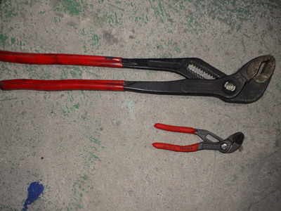 RIMG7109.JPG