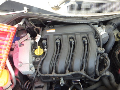 RIMG7261.JPG
