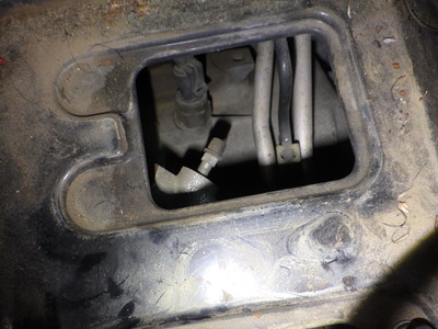 RIMG7506.JPG
