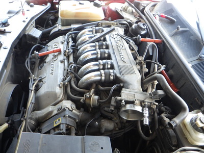 RIMG7801.JPG