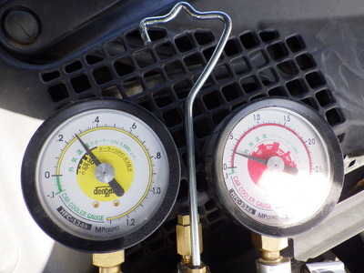 RIMG7858.JPG