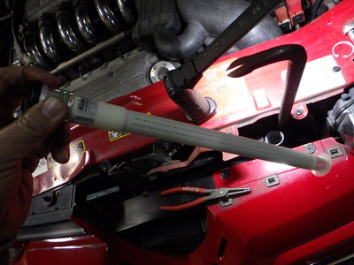 RIMG8175.JPG