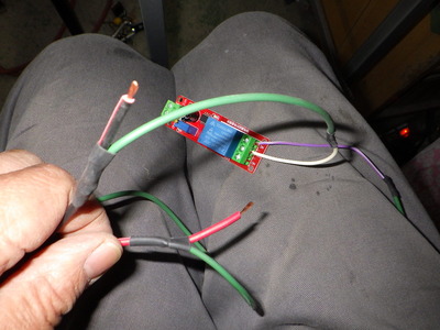 RIMG8249.JPG