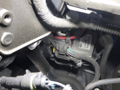 RIMG8830.JPG