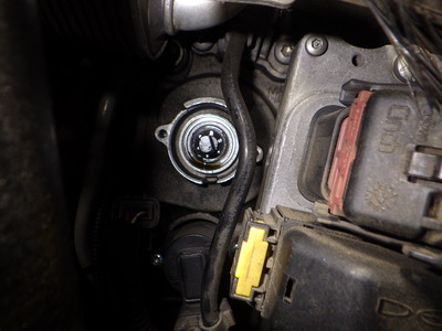 RIMG8840.JPG