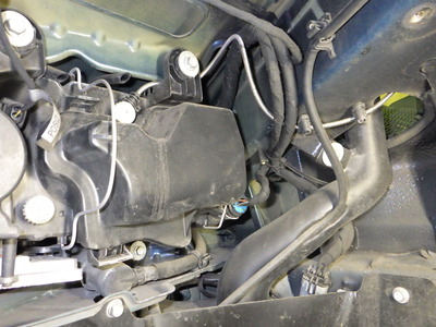 RIMG9209.JPG