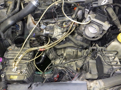 RIMG9502.JPG