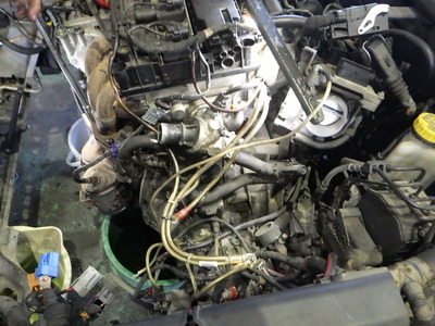 RIMG9508.JPG