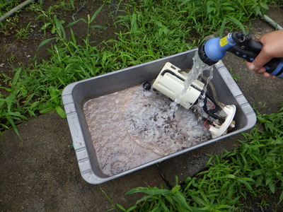 RIMG9939.JPG