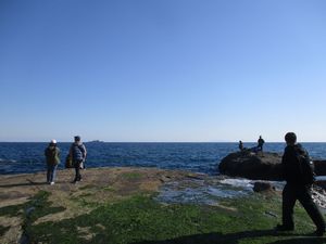 Img_4793